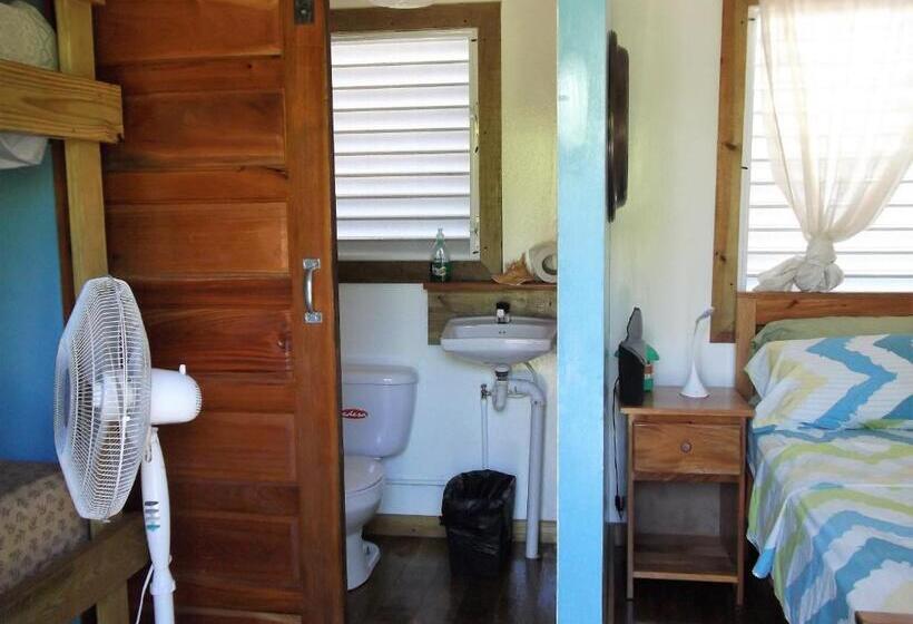 Четырехместный Номер Стандарт, The Funky Dodo Backpackers Hostel