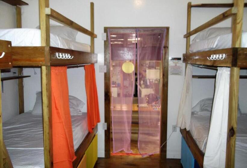 Кровать в Общей Комнате, The Funky Dodo Backpackers Hostel