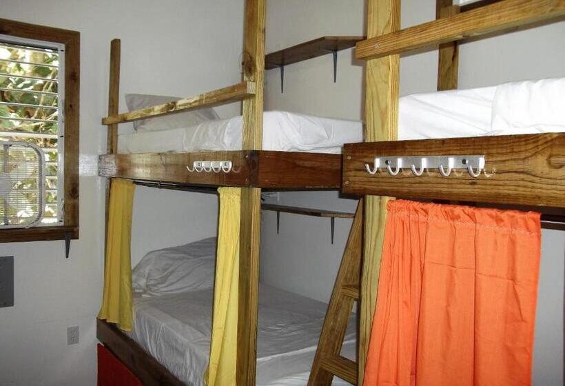 Кровать в Общей Комнате, The Funky Dodo Backpackers Hostel