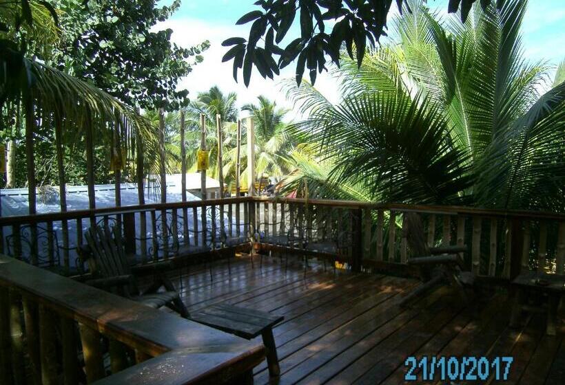 غرفة قياسية, The Funky Dodo Backpackers Hostel