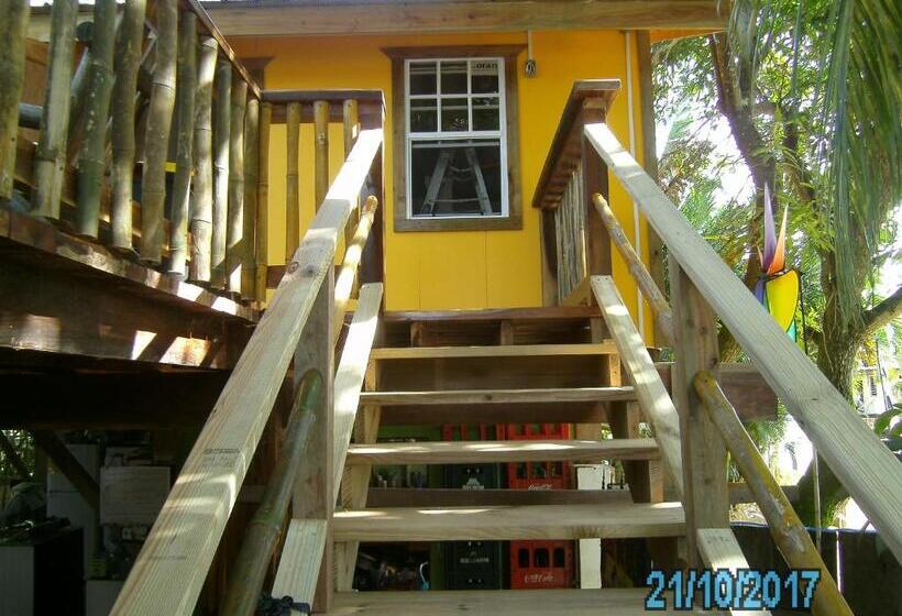 Номер Стандарт, The Funky Dodo Backpackers Hostel