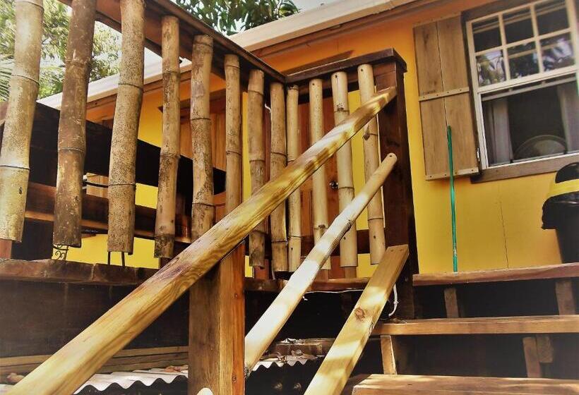 غرفة قياسية, The Funky Dodo Backpackers Hostel