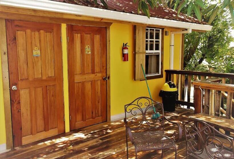 Номер Стандарт, The Funky Dodo Backpackers Hostel