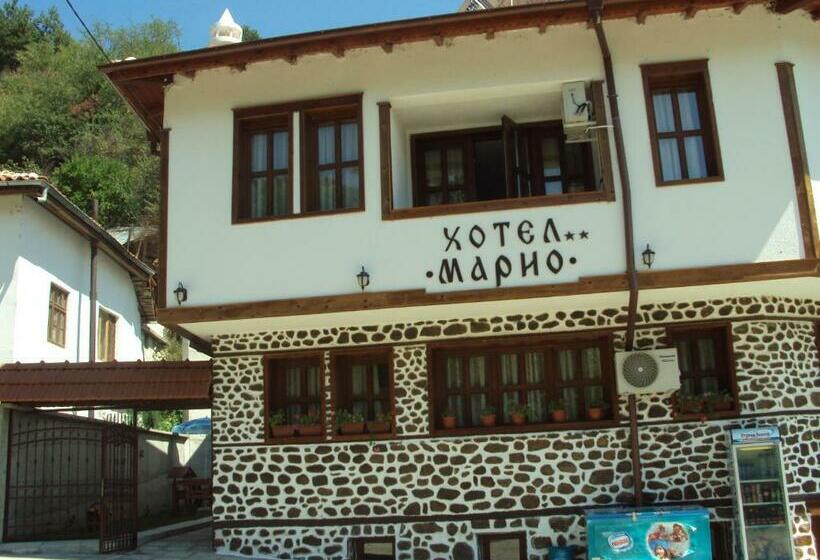 Номер Стандарт, Mario Complex
