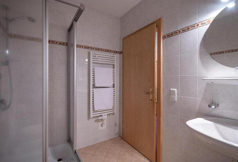 Номер Стандарт с Балконом, Aparthotel Panorama