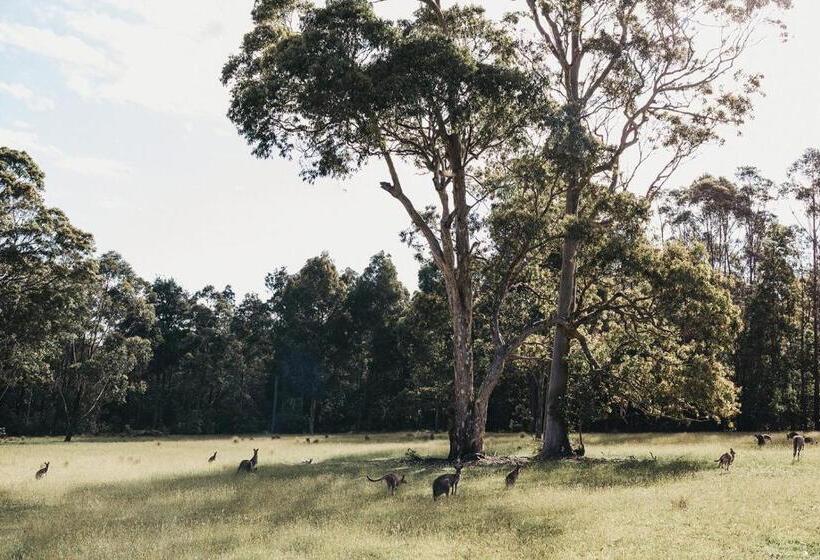 Дом 4 Спальни, Worrowing Jervis Bay