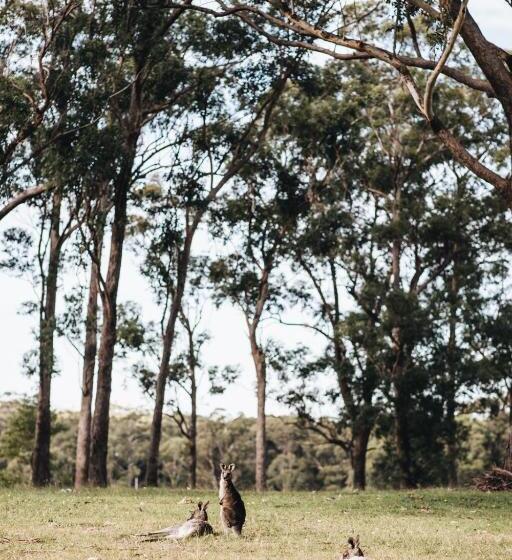 Дом 2 Спальни, Worrowing Jervis Bay