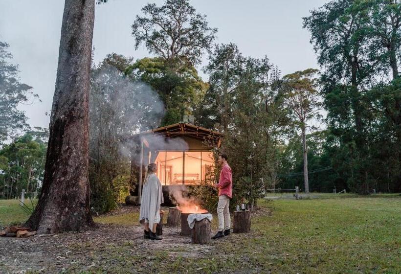 Студия Стандарт, Worrowing Jervis Bay