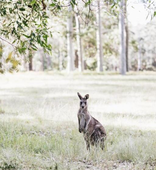 Дом 1 Спальня, Worrowing Jervis Bay