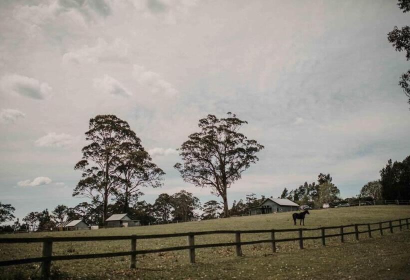 Дом 2 Спальни, Worrowing Jervis Bay