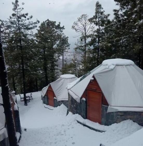 اتاق لوکس با تخت بزرگ, Orange Loft, Glamp Park Murree