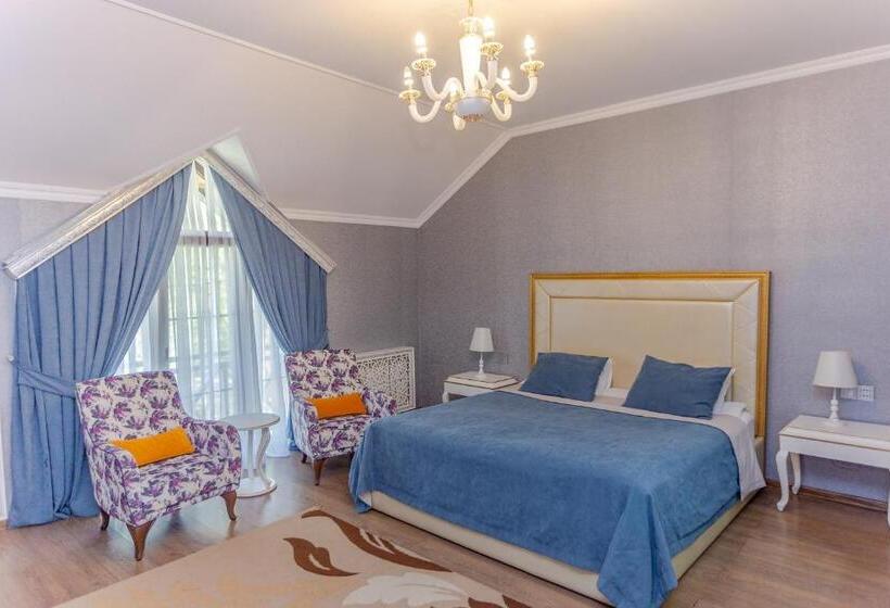 اتاق لوکس با تخت بزرگ, Aynur Resort