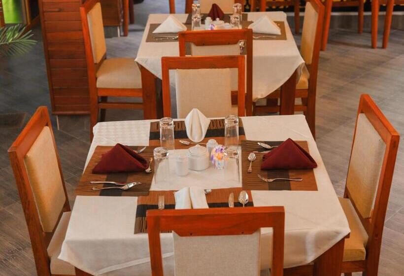 اتاق سوپریور یک تخته, River House Lodge International