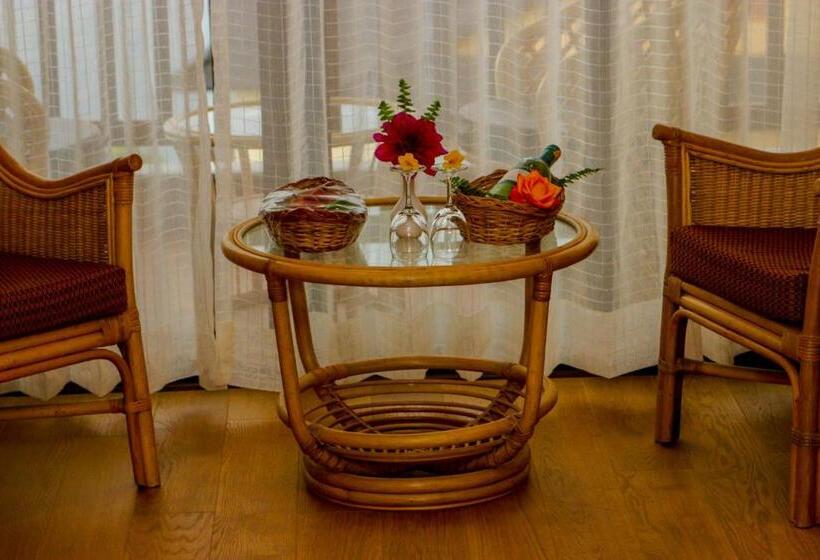 اتاق لوکس با چشم‌انداز, Rupakot Resort