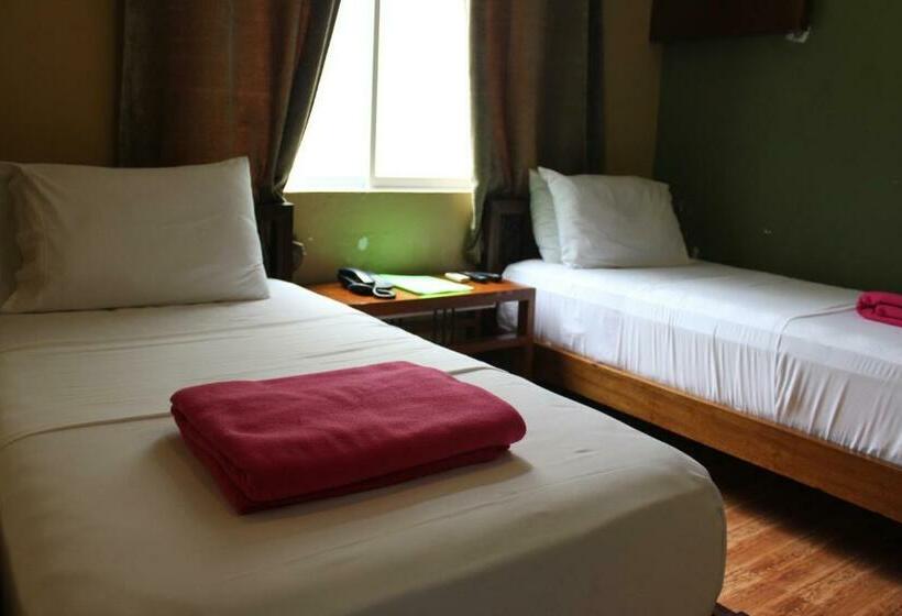 스탠다드 룸, The Purple Tree Bed & Breakfast