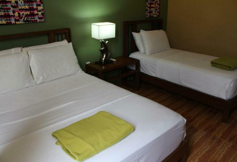 패밀리 룸, The Purple Tree Bed & Breakfast
