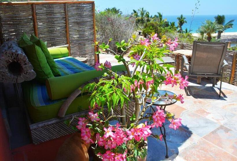 خانه 1 خوابه, Los Colibris Casitas