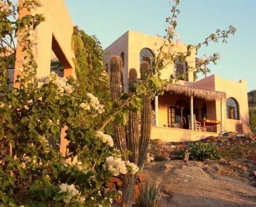 ویلای 1 خوابه با چشم‌انداز دریا, Los Colibris Casitas