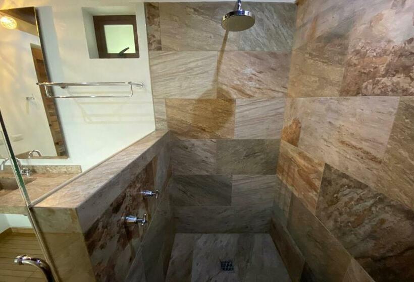 اتاق سوپریور با تخت بزرگ, Santa Rosa