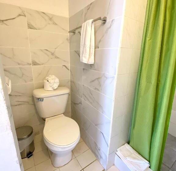 Quarto Estandar, Alegria