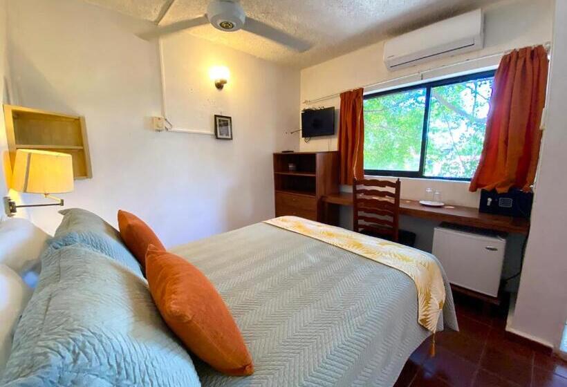 Quarto Estandar, Alegria