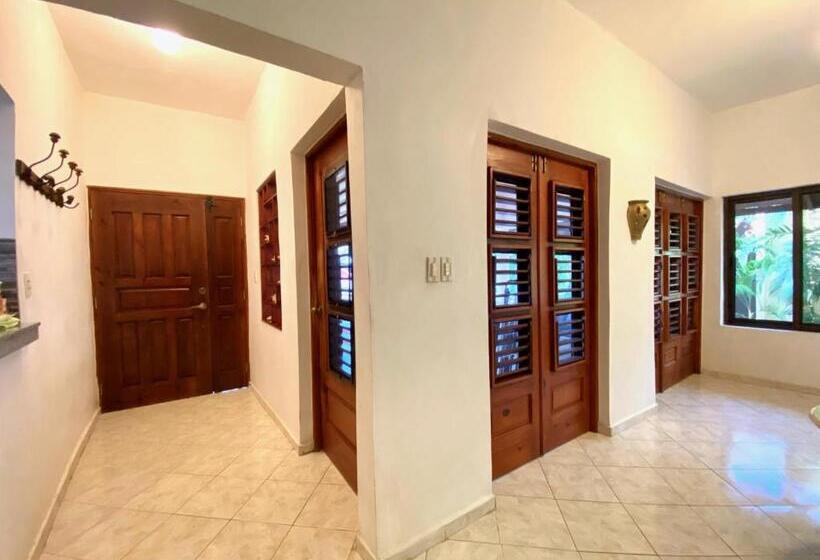Apartamento 1 Dormitório Vista Mar, Alegria