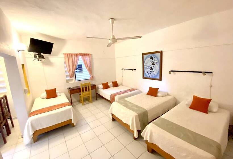 Quarto Estandar, Alegria