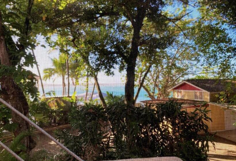 Apartamento 1 Dormitório Vista Mar, Alegria