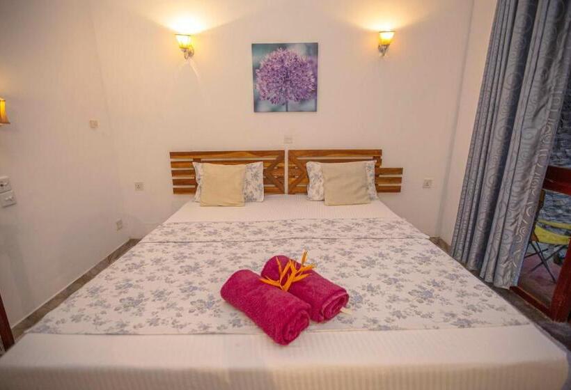 اتاق استاندارد با چشم‌انداز استخر, Arcadia Resort