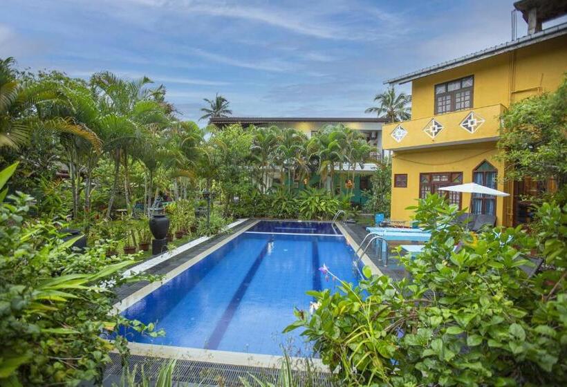 اتاق استاندارد با چشم‌انداز استخر, Arcadia Resort