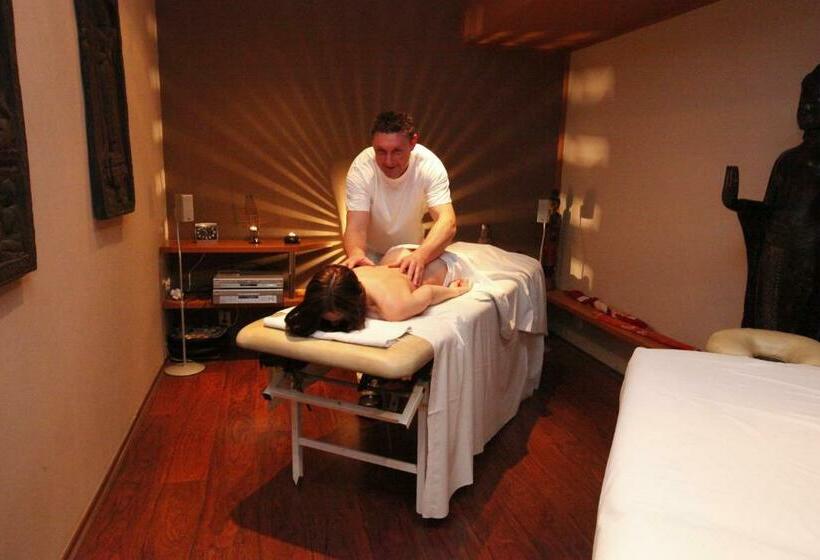 اتاق سوپریور, Wellness Hotel Staré Město