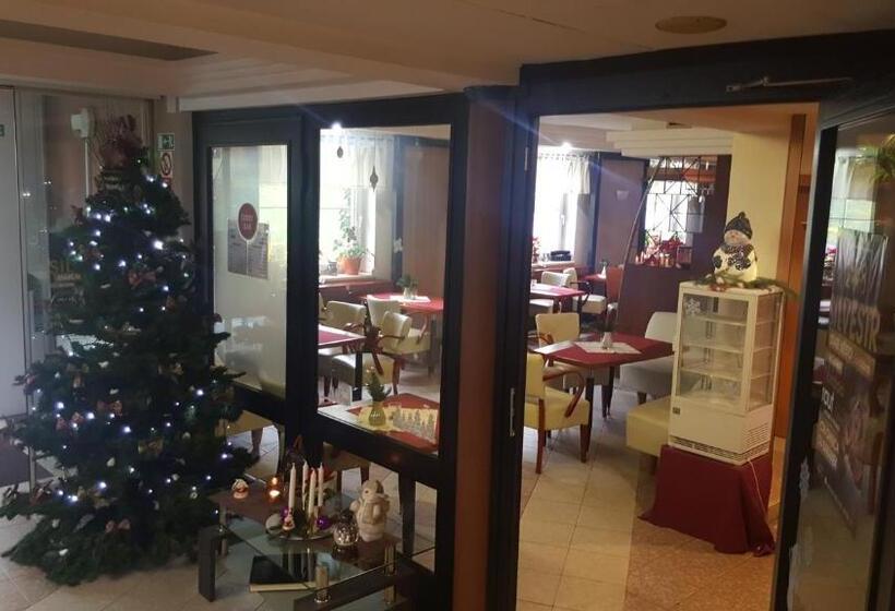 اتاق سوپریور, Wellness Hotel Staré Město