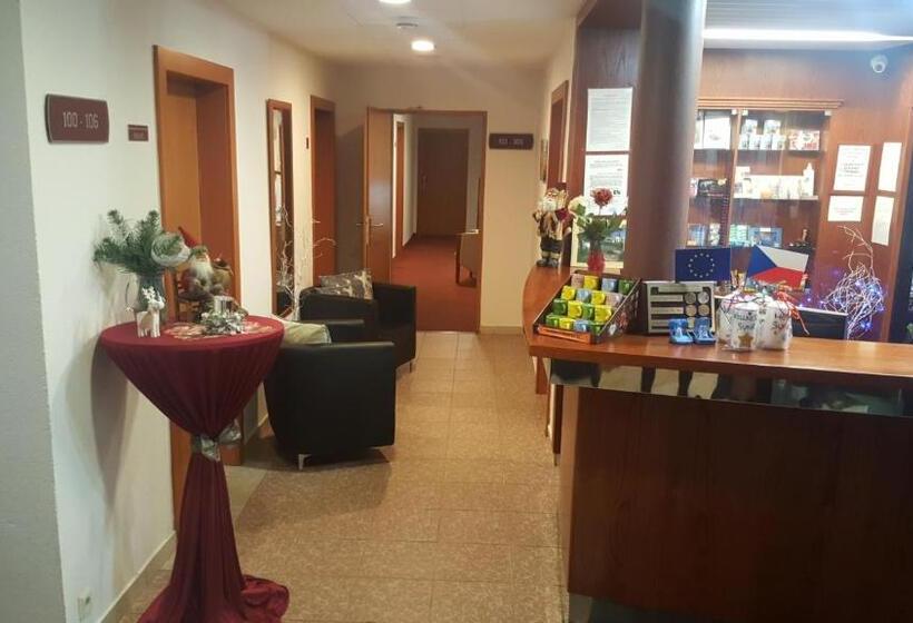 اتاق استاندارد, Wellness Hotel Staré Město