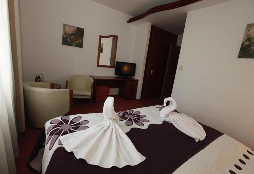 اتاق سوپریور, Wellness Hotel Staré Město
