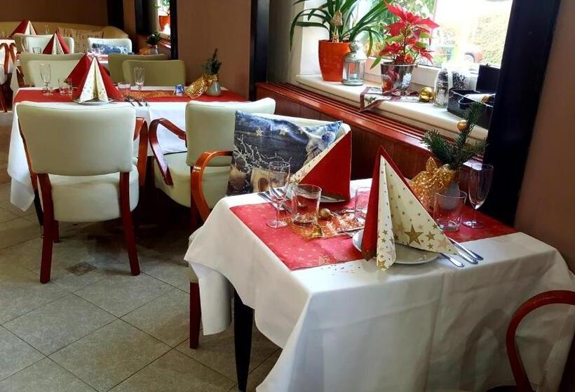 اتاق سوپریور, Wellness Hotel Staré Město