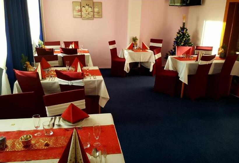 اتاق استاندارد یک نفره, Wellness Hotel Staré Město