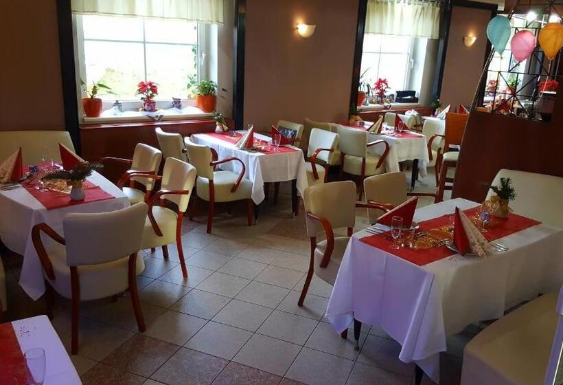 اتاق استاندارد یک نفره, Wellness Hotel Staré Město