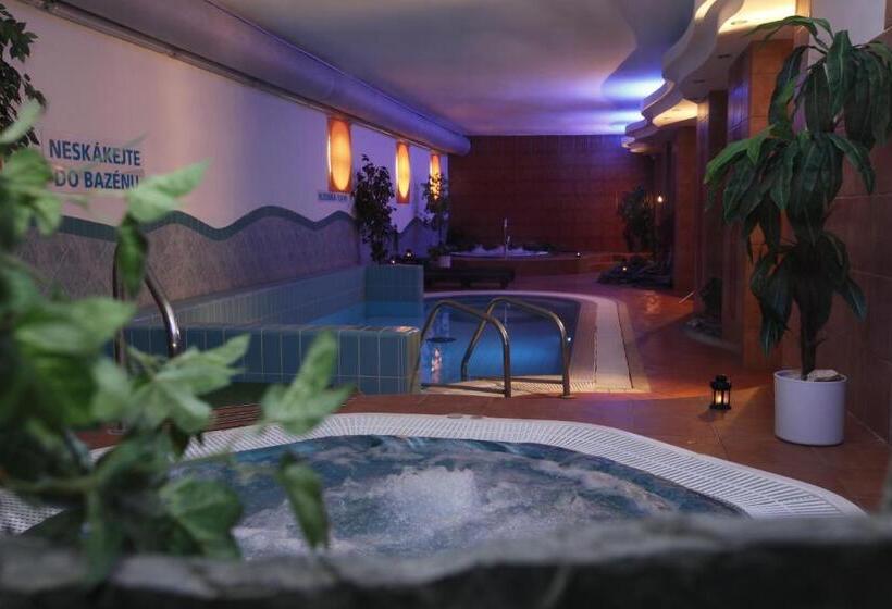 اتاق استاندارد, Wellness Hotel Staré Město