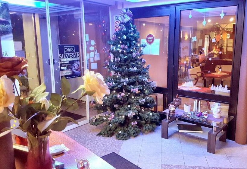 اتاق استاندارد, Wellness Hotel Staré Město