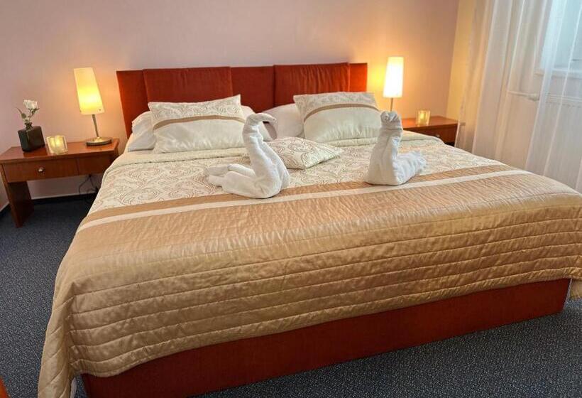 اتاق سوپریور, Wellness Hotel Staré Město