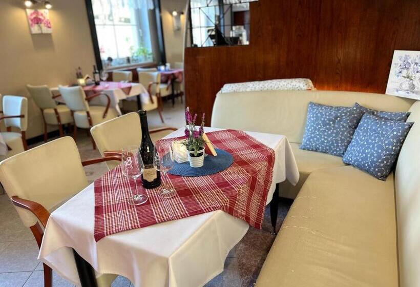 اتاق سوپریور, Wellness Hotel Staré Město