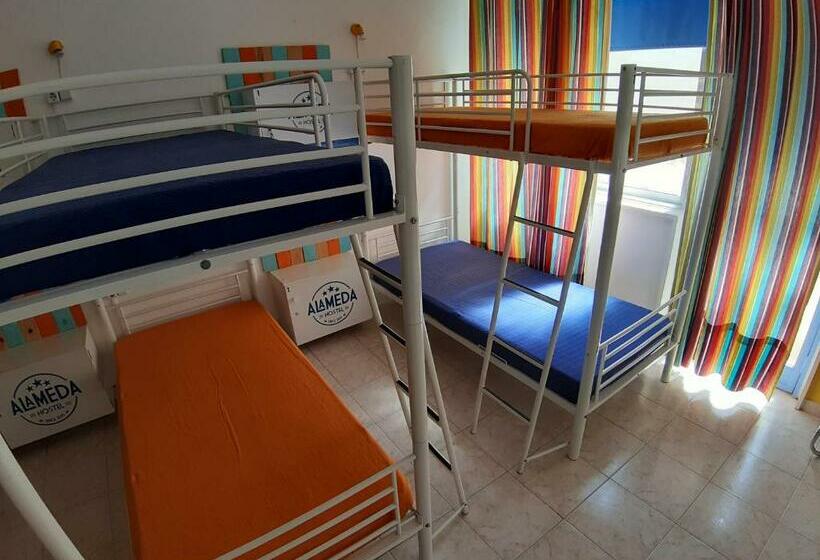 Кровать в Общей Комнате, Alameda Hostel