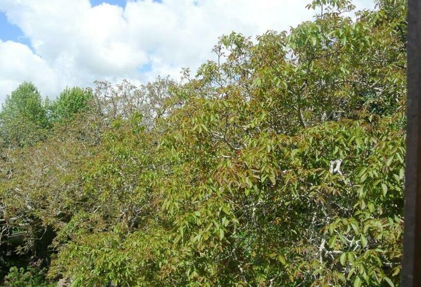 ガーデンビュースーペリアールーム, Guest House Villa Dos Poetas