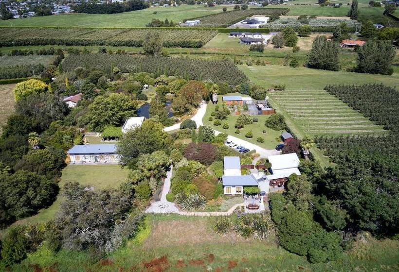 デラックスルーム, Te Mata Views Resort