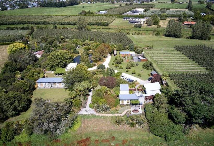 Бунгало Стандарт, Te Mata Views Resort