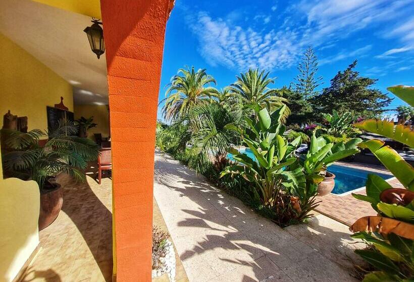 Номер Basic, Villa Paraiso   Naturism Optional Adults Only