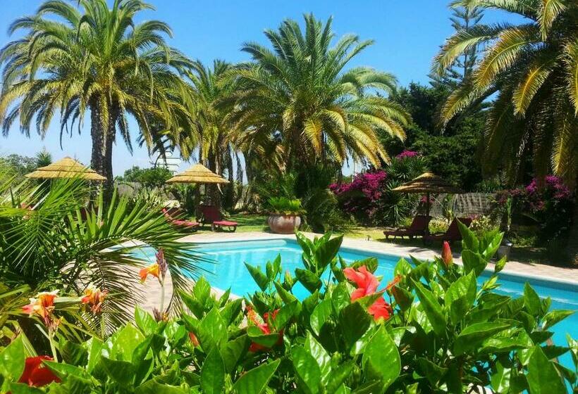 Номер Стандарт, Villa Paraiso   Naturism Optional Adults Only