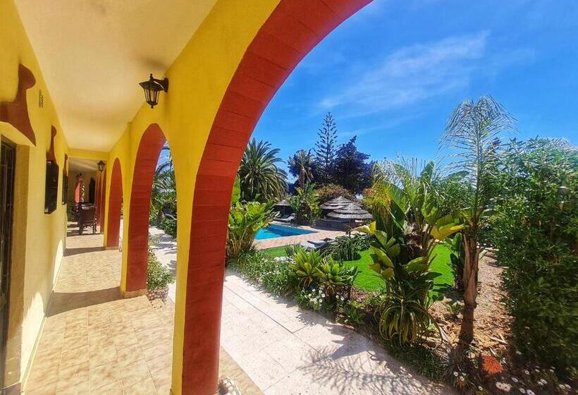 Номер Basic, Villa Paraiso   Naturism Optional Adults Only