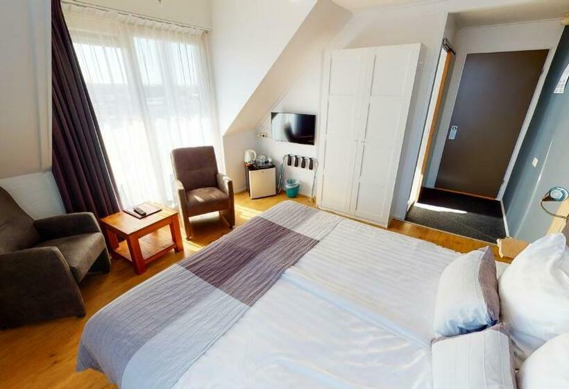 اتاق استاندارد با بالکن, Duinhotel Texel