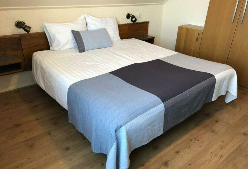 اتاق استاندارد, Duinhotel Texel